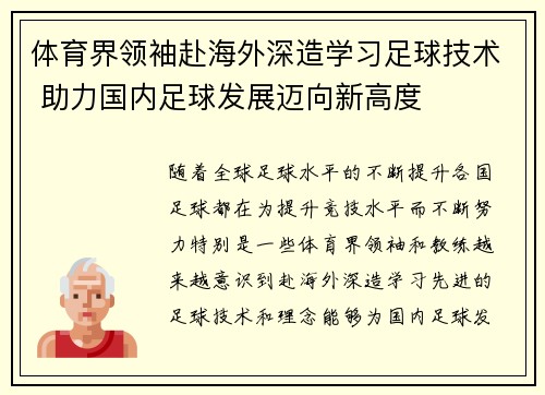 体育界领袖赴海外深造学习足球技术 助力国内足球发展迈向新高度
