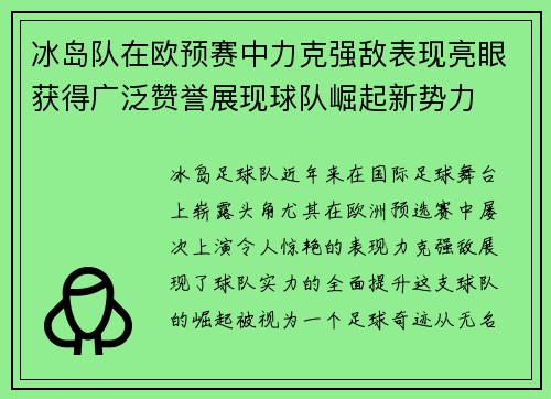 冰岛队在欧预赛中力克强敌表现亮眼获得广泛赞誉展现球队崛起新势力